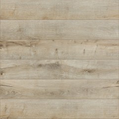 profiltrend_20260615_48