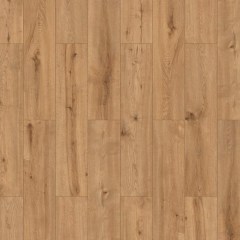 profiltrend_20260615_51