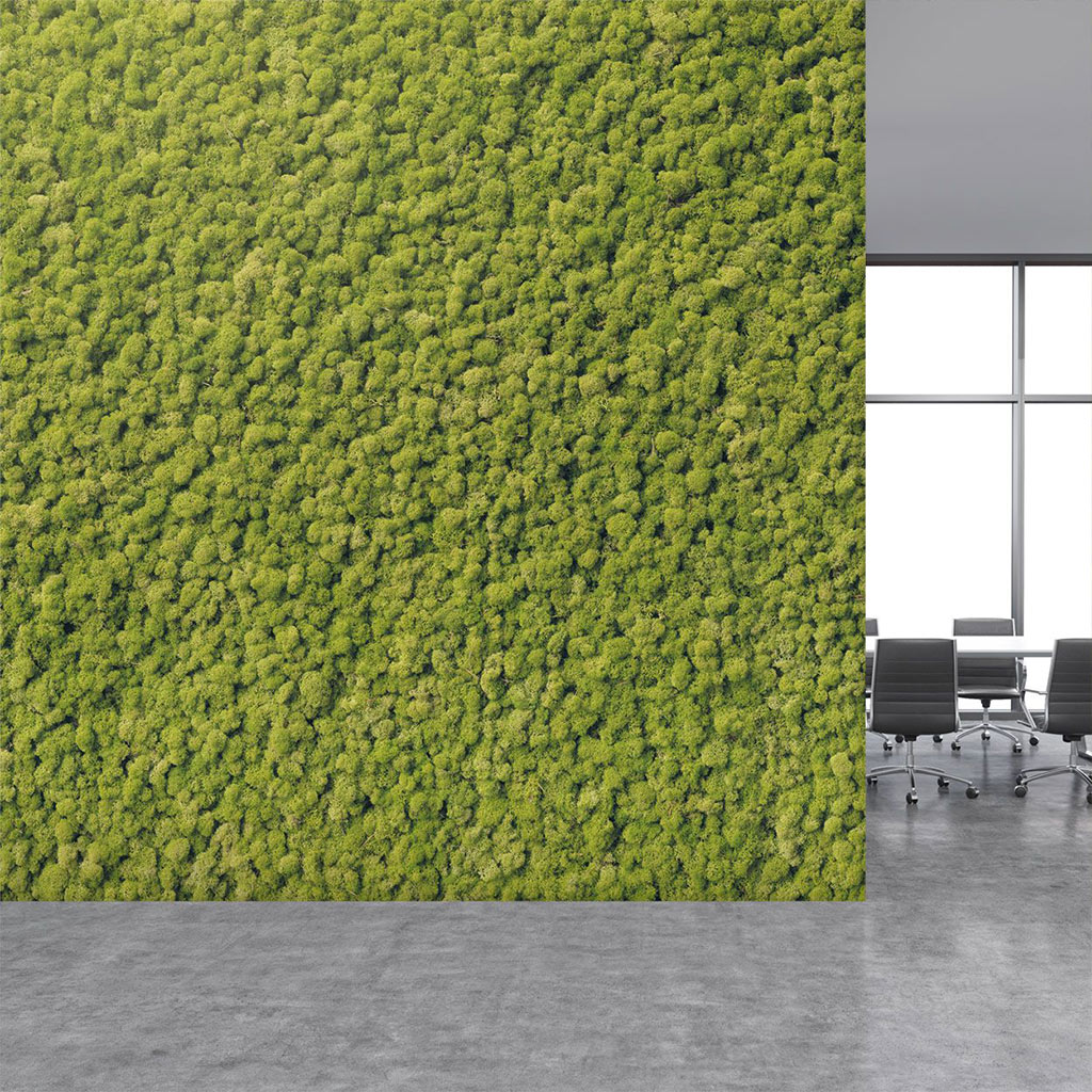 HDM SPC/vinyl vízálló fali panel, Moss (2605 x 1928 mm)
