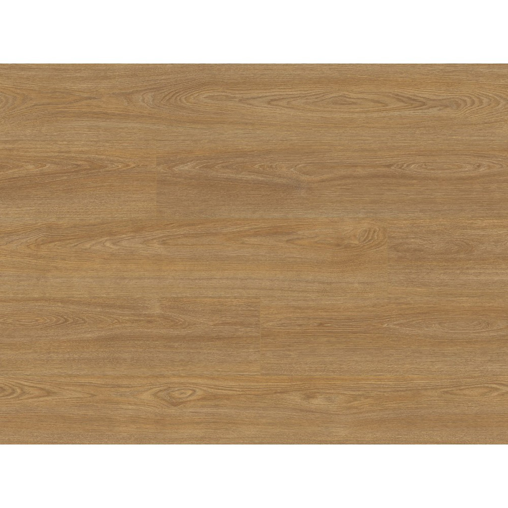Classen Explore HWR Brushed Calvia Oak 68192