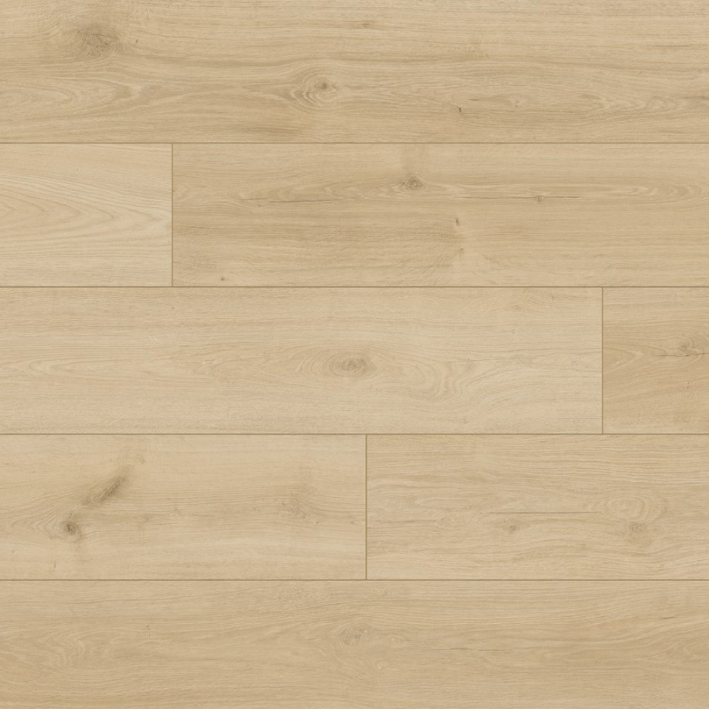 Classen Tradition Pistoia Oak 65120