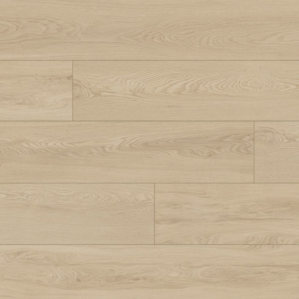 Classen Tradition Potenza Oak 65121