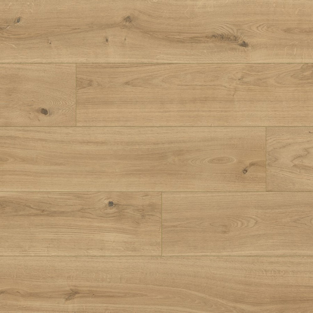 Classen Tradition Zaragoza Oak 65129