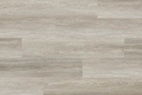 Arbiton Woodric Acoustic 5.3/0.55 Peterson oak