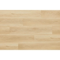 Arbiton Woodric Acoustic 5.3/0.55 Holman oak