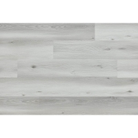 Arbiton Woodric EIR Acoustic 5.3/0.55 Dayton oak