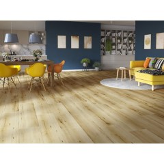 profiltrend_20260615_40