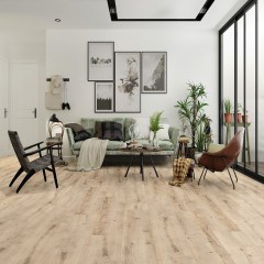 profiltrend_20260615_49