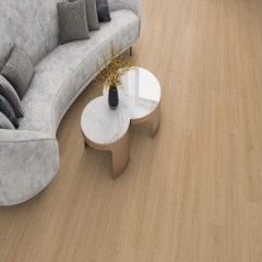 profiltrend_20260615_54